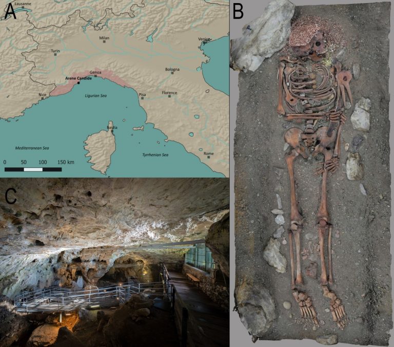 NUOVO STUDIO SUL CELEBRE “PRINCIPE” DELLA CAVERNA DELLE ARENE CANDIDE